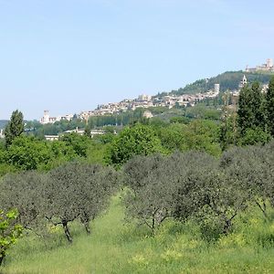 Country House Poggio Fiorito